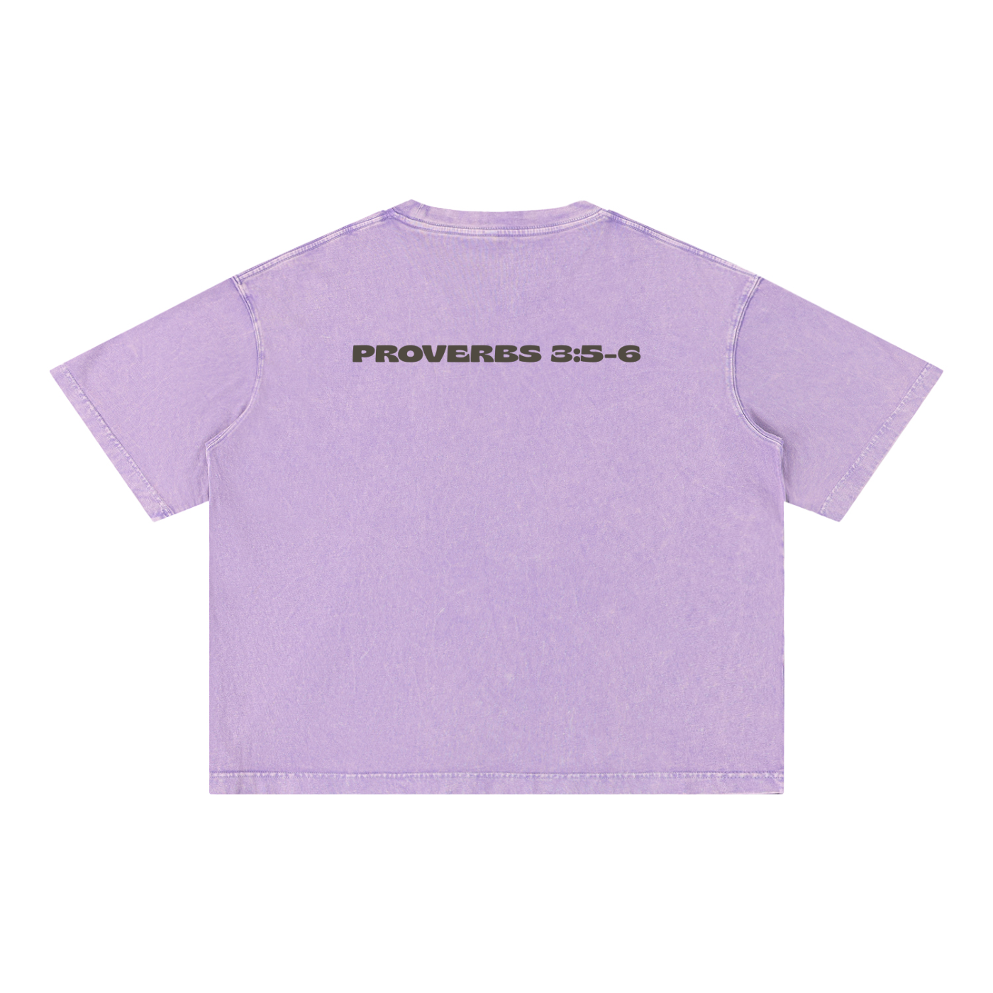 Proverbs 3: 5-6